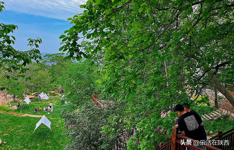 蓝田荞麦花海和高山草甸,西安荞麦花海旅游