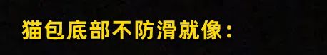 害死猫的网红饰品,盘点那些被人害死的网红猫