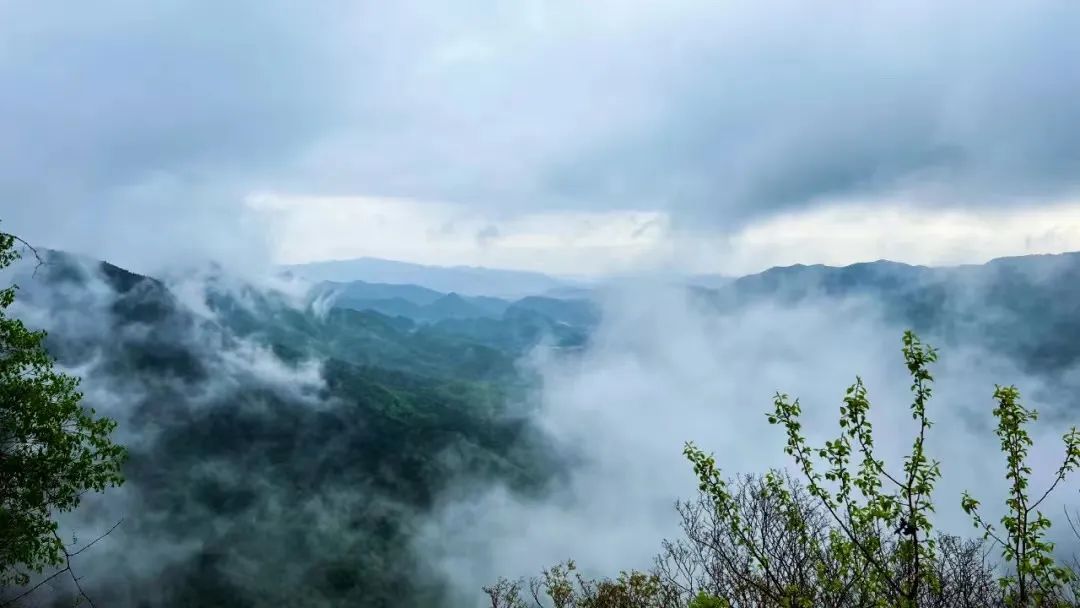 万仙山景区免费门票政策,万仙山各个景点有门票吗