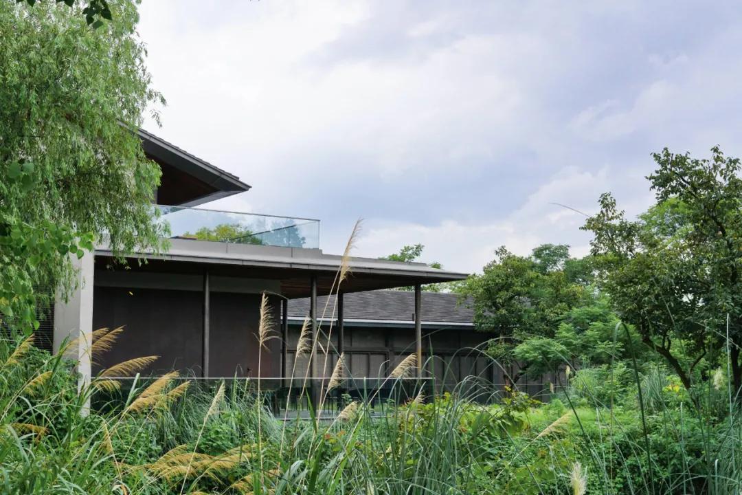 杭州最好吃餐厅排行榜,杭州好吃的餐厅排行榜前十名