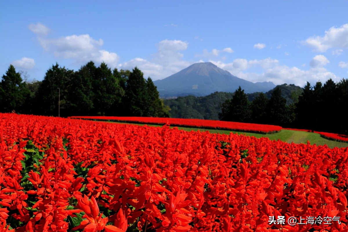 探索不一样的世界,日本小众山阴游玩攻略