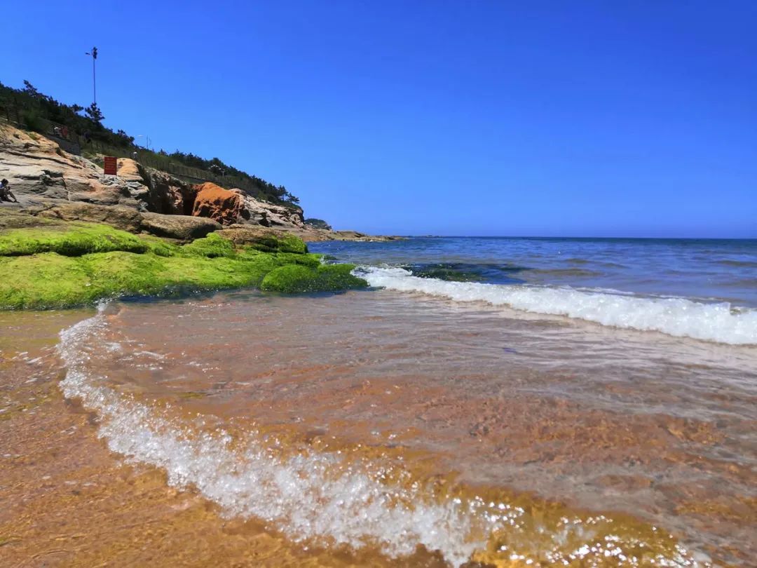 春天的第一场露营安排起来,春天里第一次露营