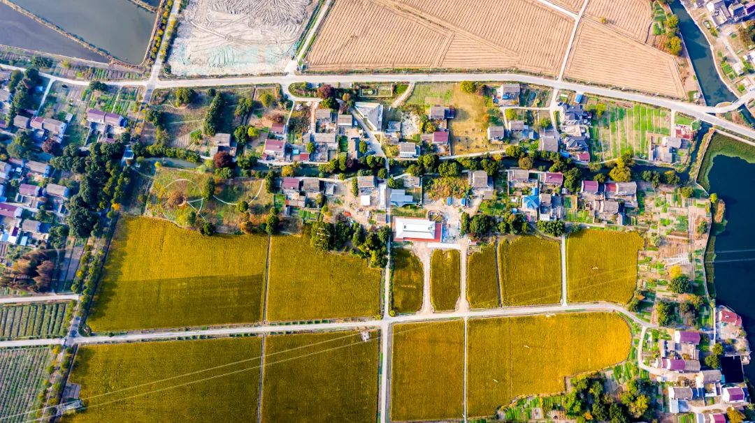 整村运营,整村运营顶层策划