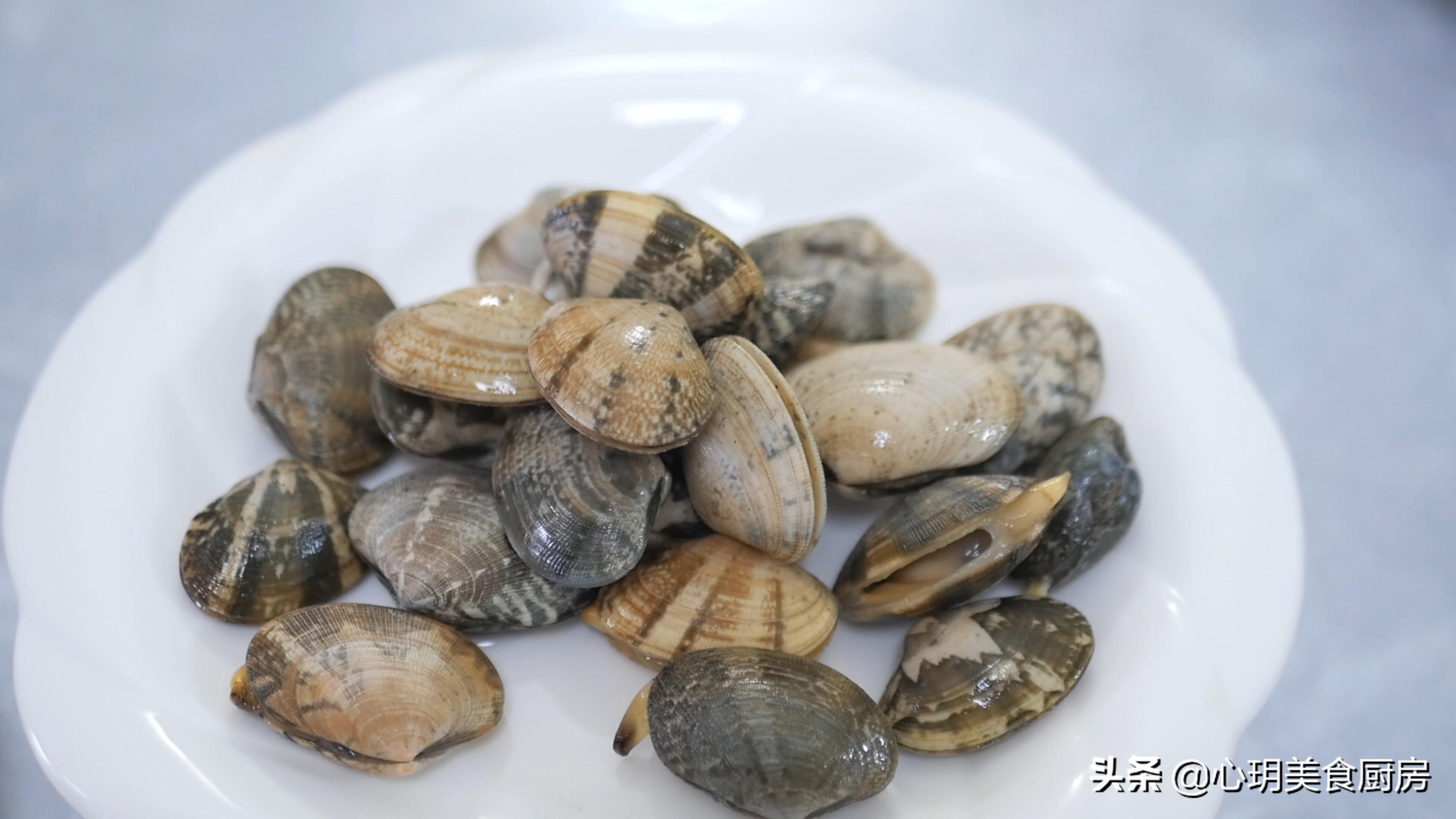 文蛤和花蛤可以一起炒着吃吗,文蛤和花蛤的区别吃起来一样吗