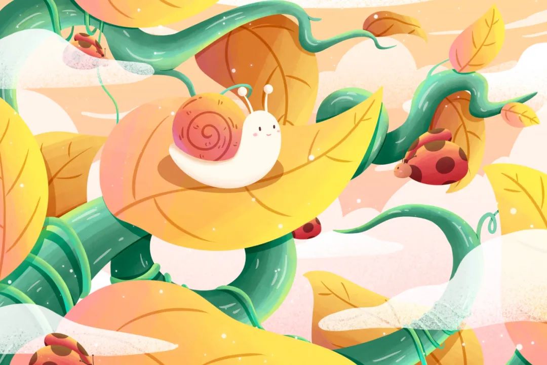 会生气的蜗牛,蜗牛吵架