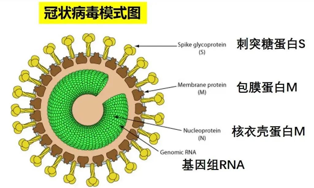 多灾多难，我们的未来还会好吗？