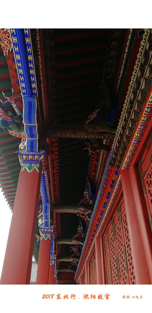 东北游记哈尔滨沈阳行,沈阳游故宫攻略