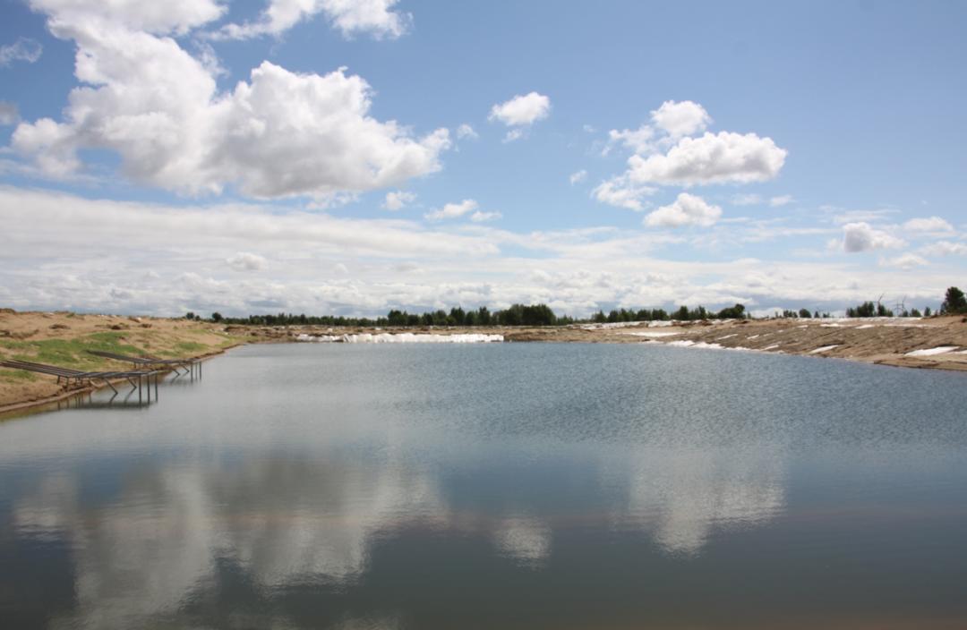 娌欑背浜т笟鍔╁姏涔℃潙鎸叴,娌欑背鍝佺墝