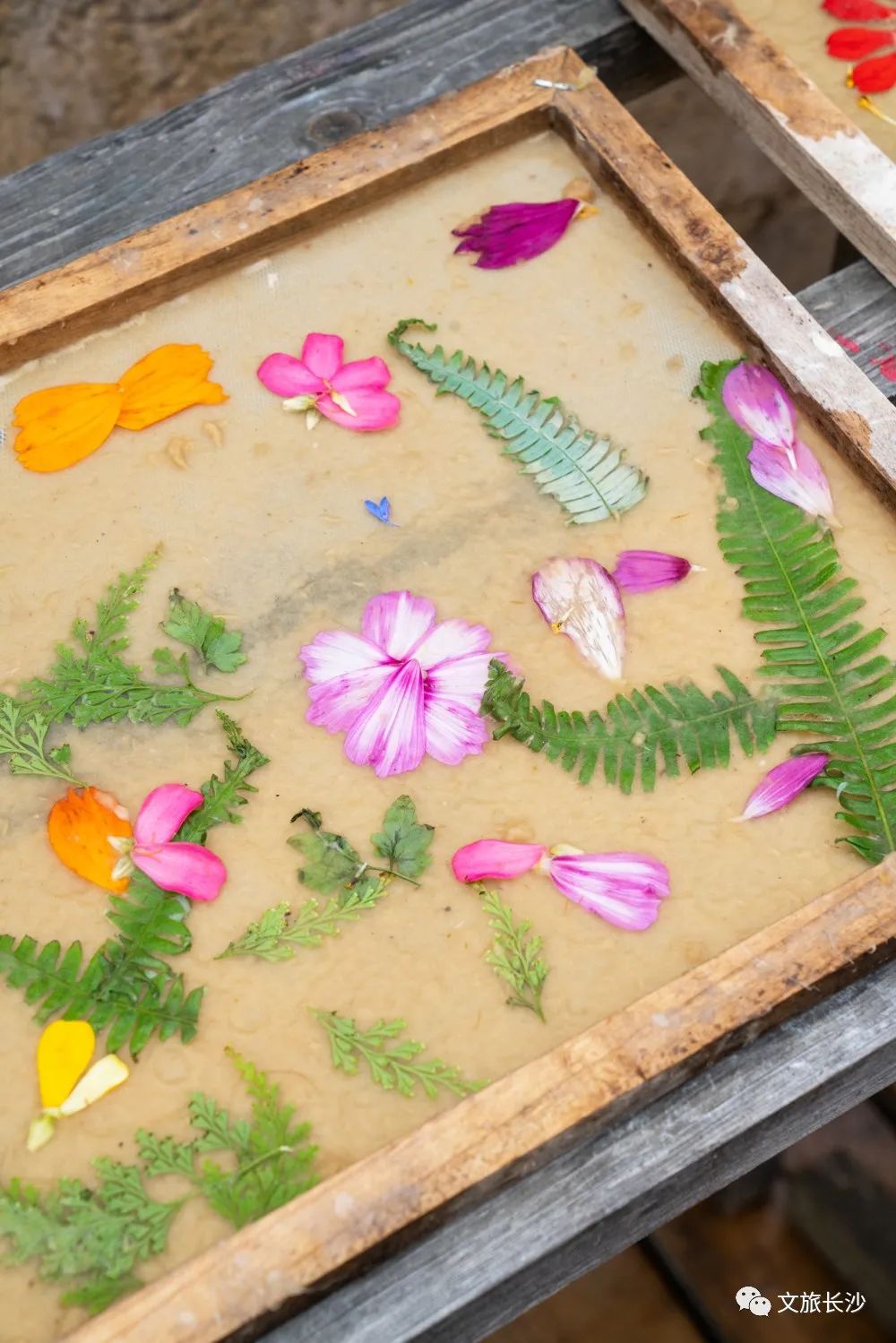 长沙夏日周末旅游景点攻略,长沙夏日游玩攻略一日游推荐