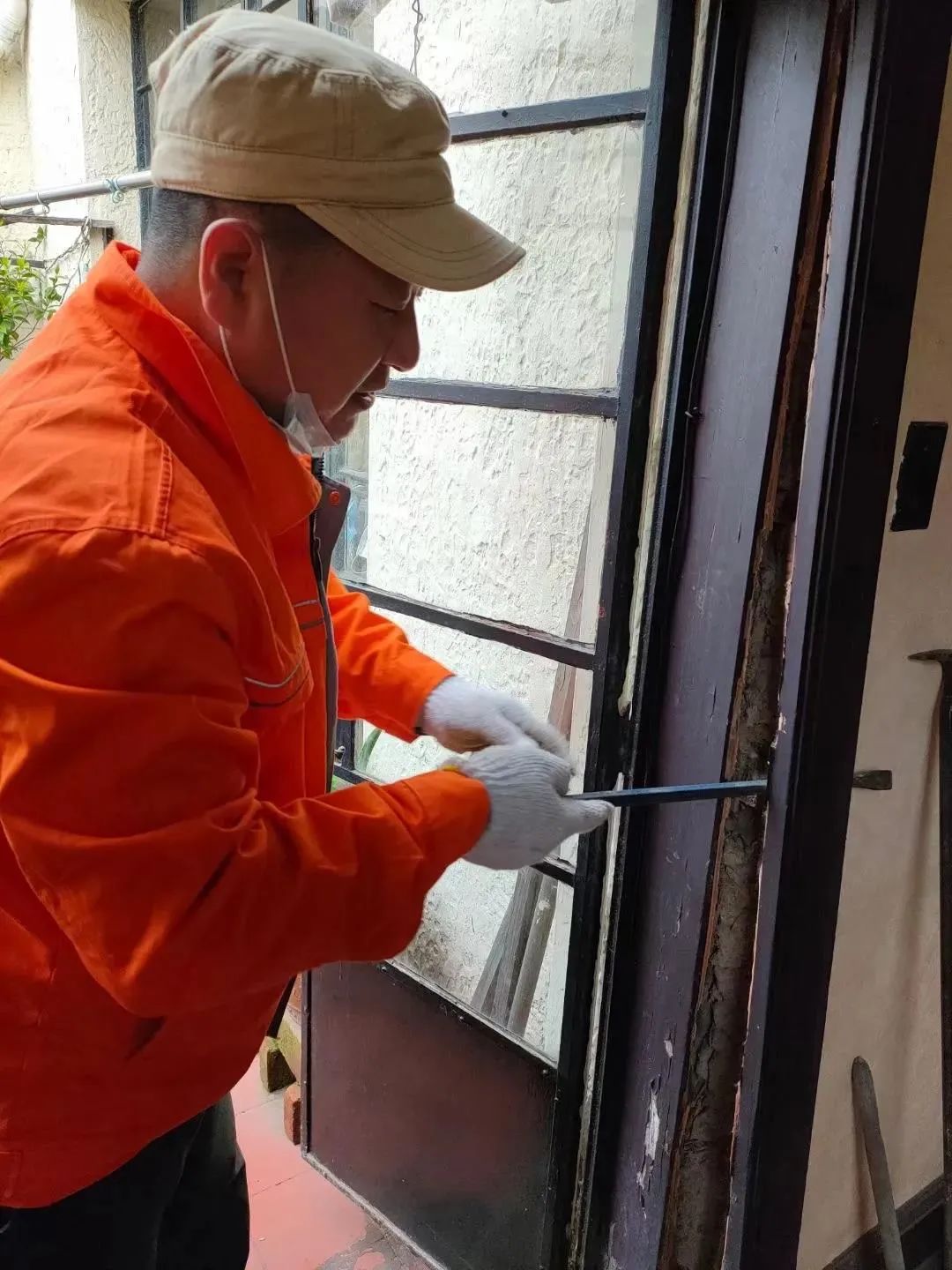 为什么上海今年出现大量白蚁,上海白蚁成群出现说明什么