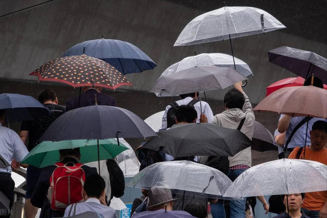 摆烂的人为什么业绩很好,摆烂的人成绩好自己努力却比不上
