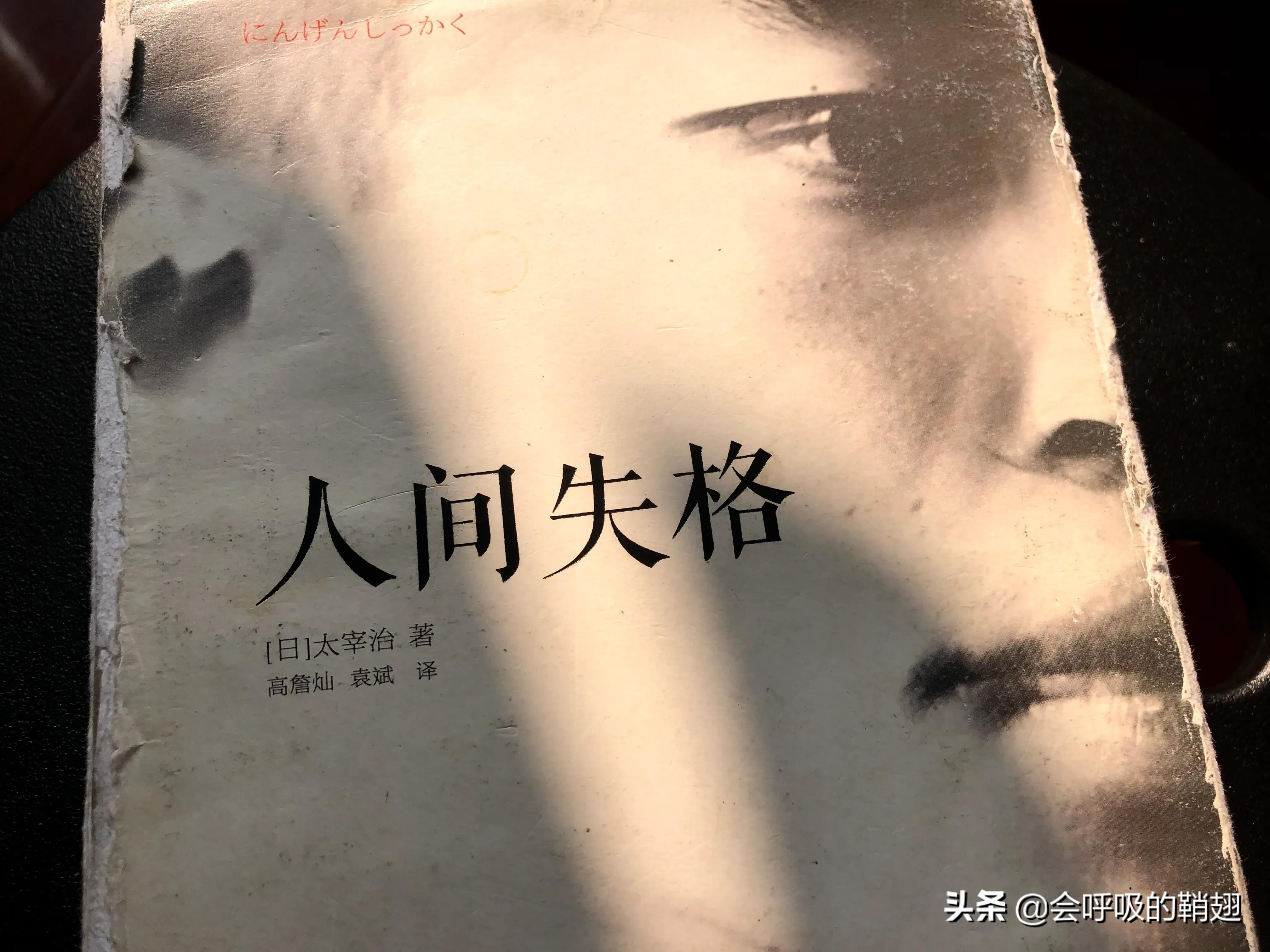 人间失格要用什么心态去看,人间失格当中的失格是什么意思