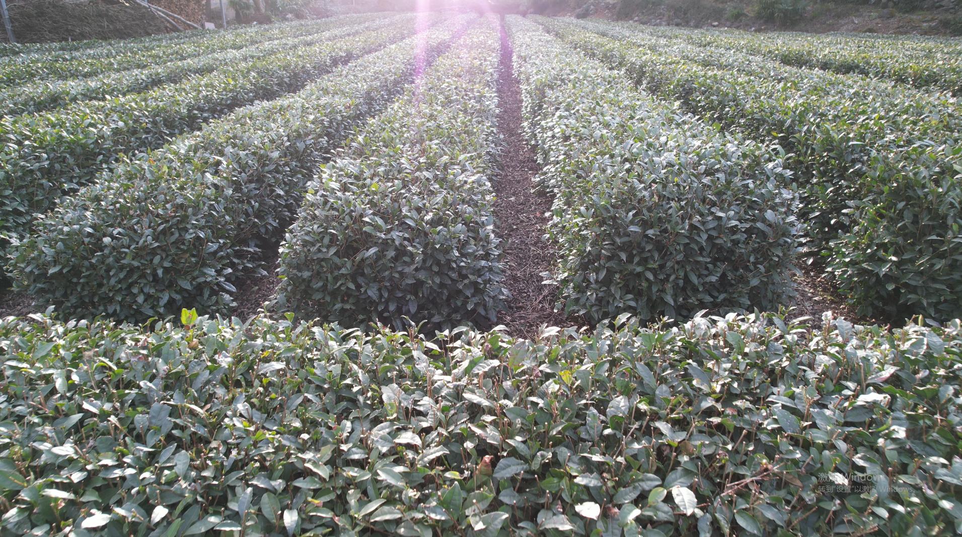 直播电商创业经历,80后创业直播卖货