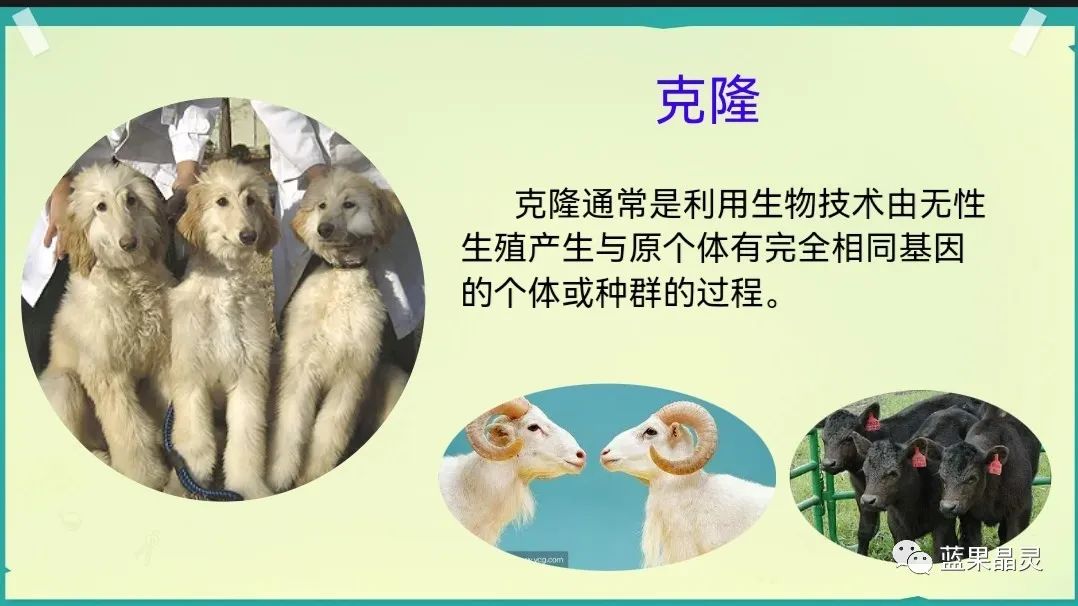 四下语文:第2单元课本内容(复习+练习)