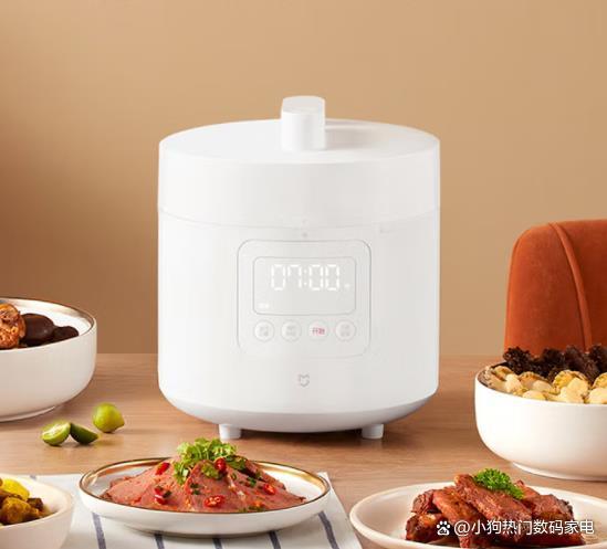 电压力锅十大品牌排名,十大品牌电压力锅质量排名图片