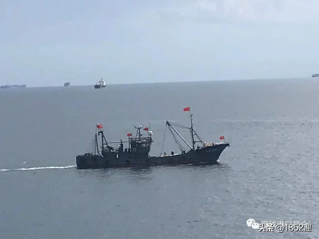 山东老乡住在青岛，是否能找到香港维多利亚湾和温哥华的感觉？