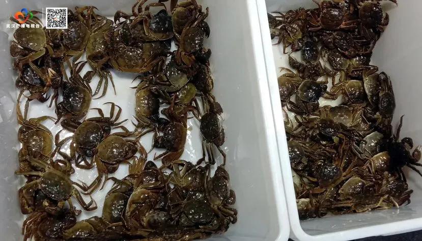 上市价格比预售价格优惠多少,上市价格一般比预售低多少