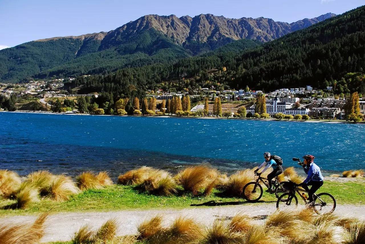 新西兰真实的视频,新西兰最新生活真实状况