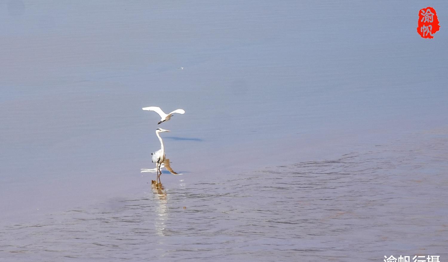 瑞安新外滩参观,瑞安新外滩游玩