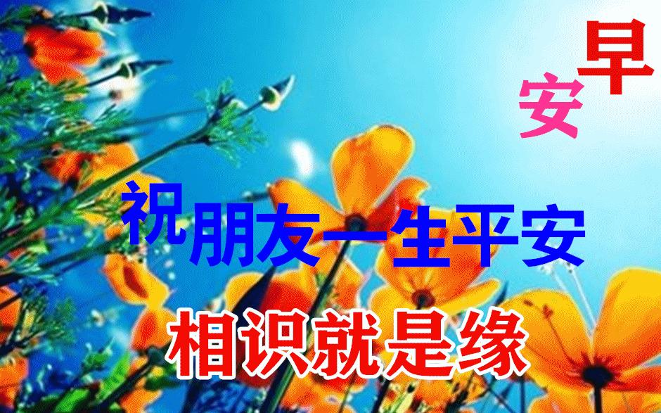 清凉淡雅的早晨好带字漂亮图片,早晨好图片大全温馨带字