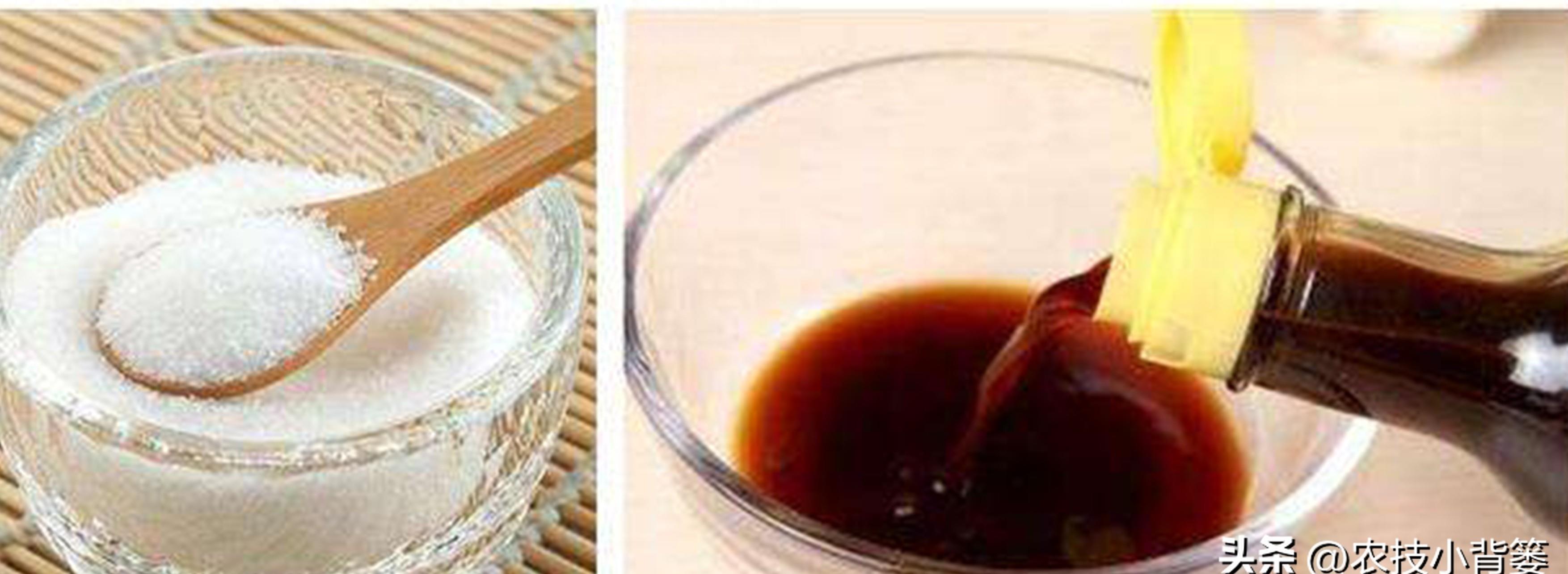 土蚕的预防与消杀,防治土蚕的最好方法