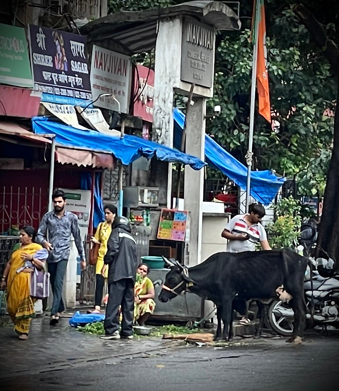 印度现在的孟买,孟买在印度有多繁华