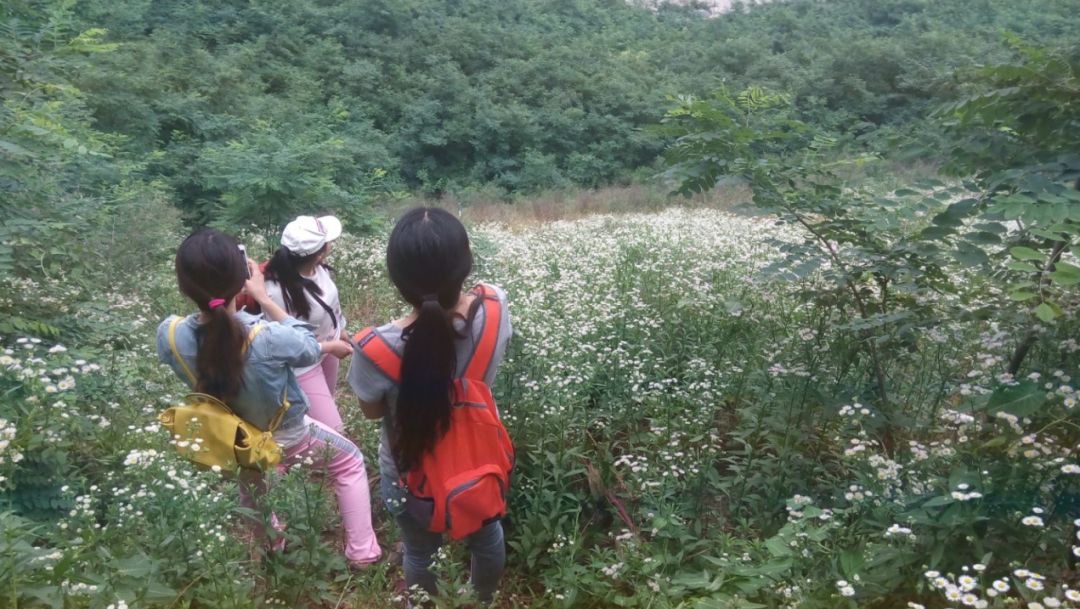 爱旅经常组织的市内登山路线，传说健康的人都去了这里......