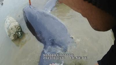 ​定了！事关牙膏，12月1日起实施【新闻早七点】