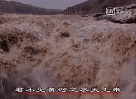 这几部口碑爆棚的宝藏纪录片,国庆孩子必看的8部神级纪录片