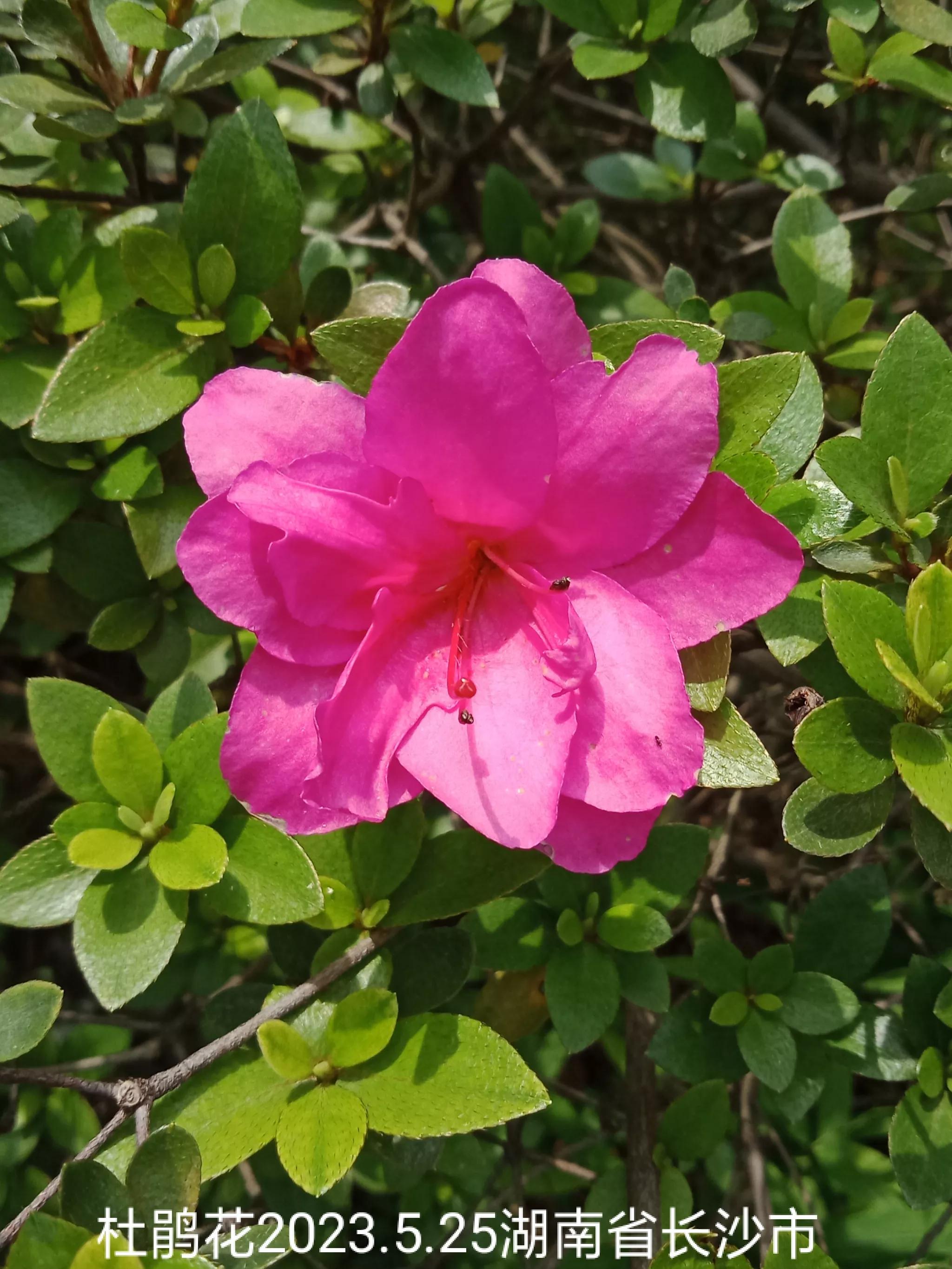 微信群忘保存找不到怎么办,怎么保存微信群里面的人