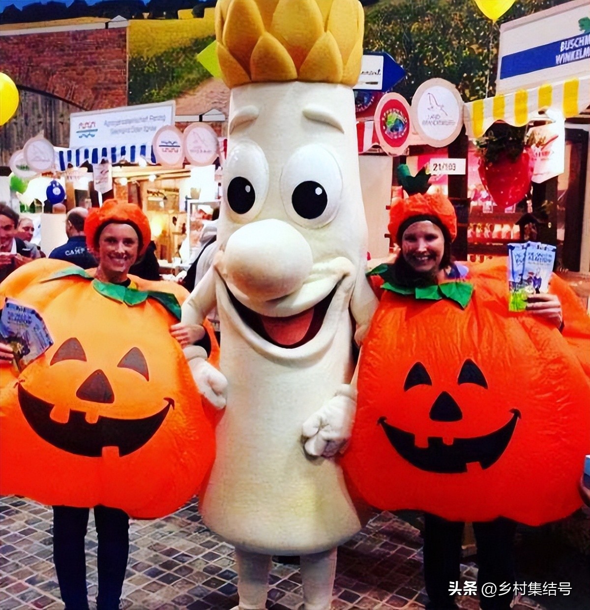 寰峰浗鑺︾瑡鍐滃満,鍏嬭幈鏂墭鑺︾瑡浣撻獙