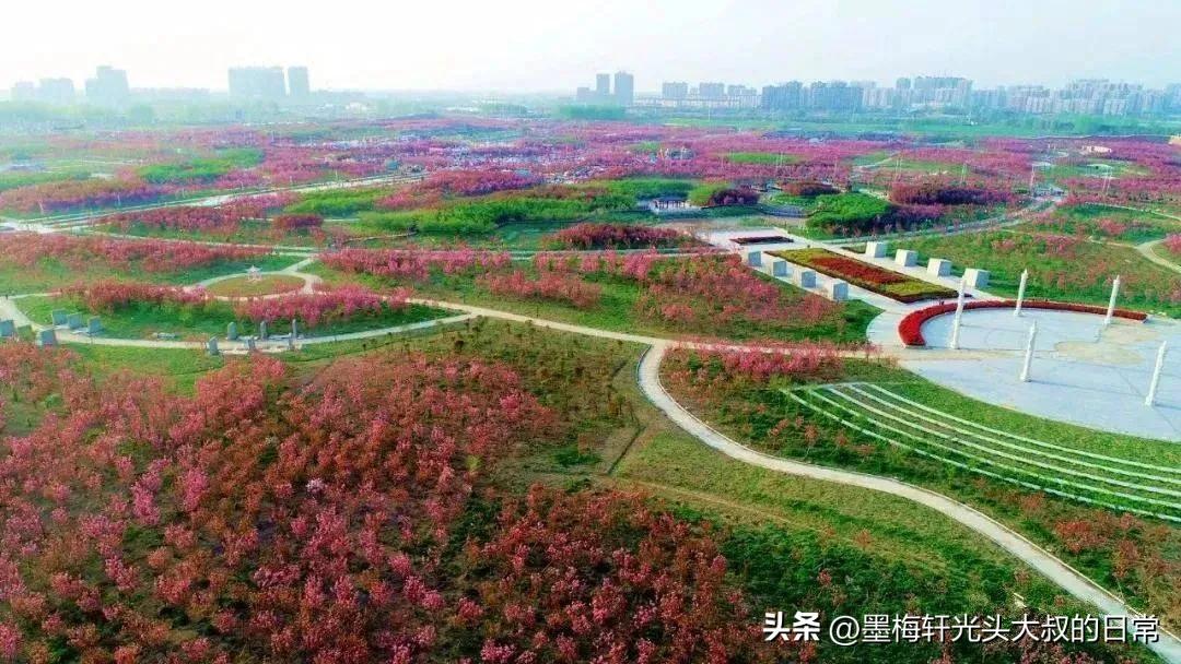 蚌埠长月烬明打卡地在哪里,长月烬明主角去蚌埠吗