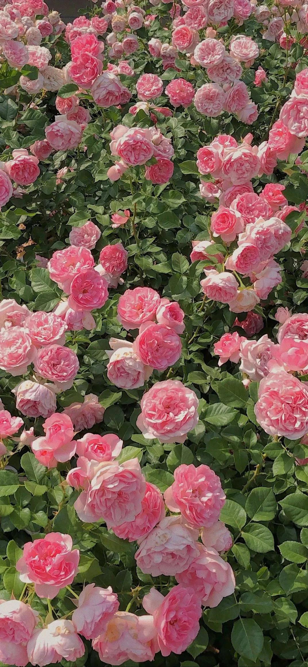 银行资管业务有哪些,银行资管盈利模式重塑