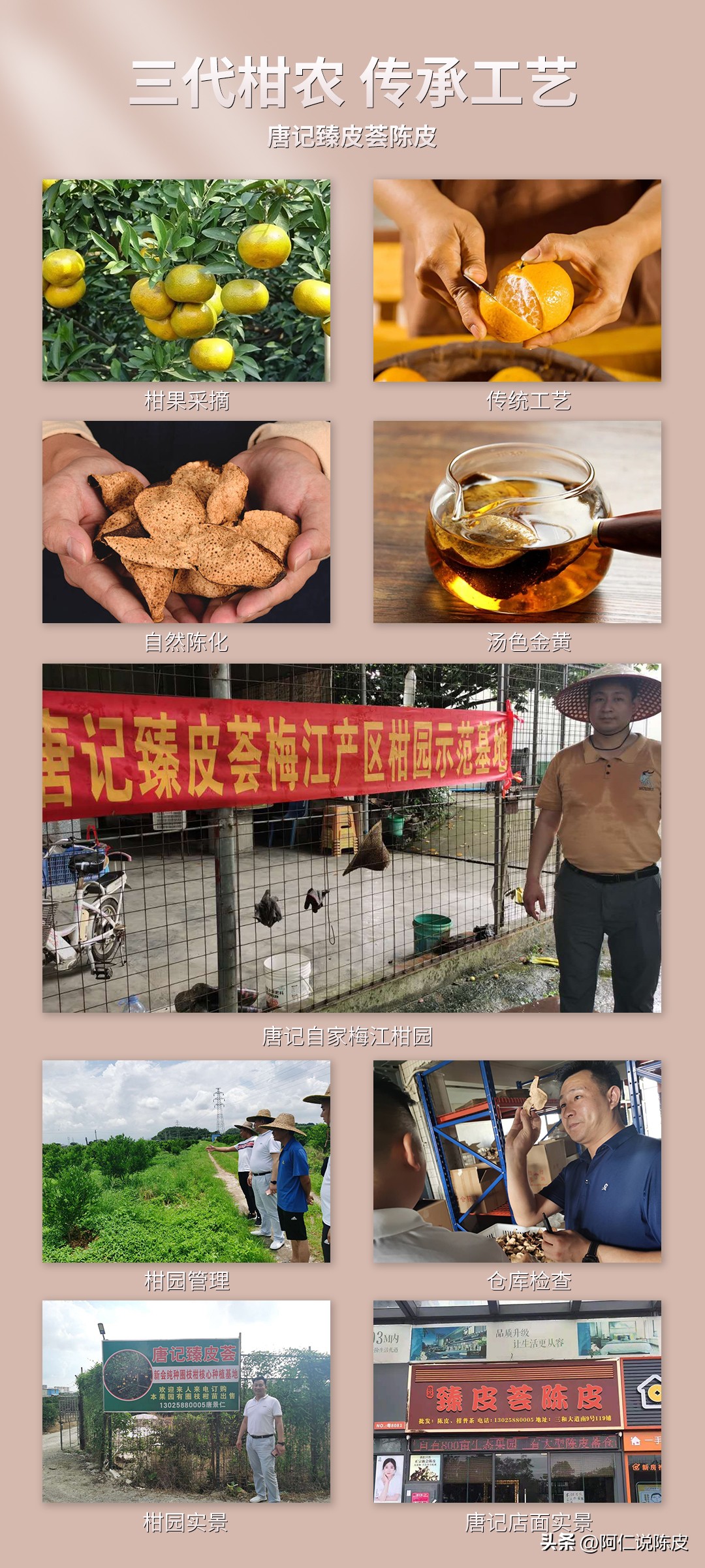 2019新会陈皮打假,新会假陈皮怎么辨别