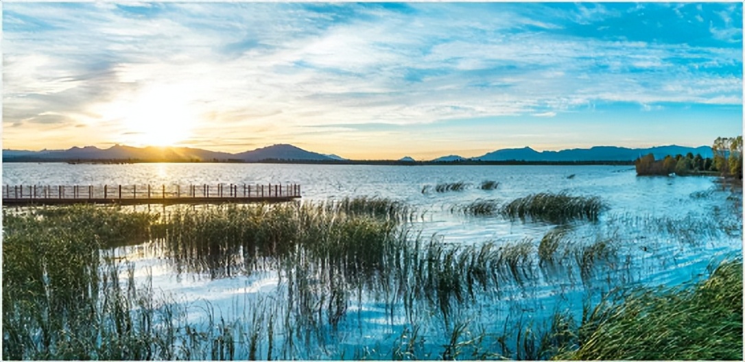 张家口鸿坤葡萄酒小镇推荐,鸿坤葡萄酒小镇现状