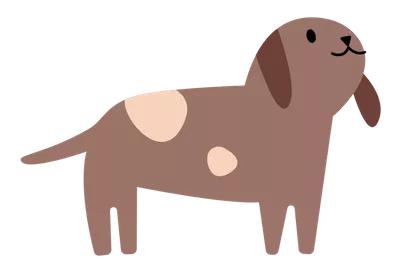 为了让狗狗不吃粑粑,我花5000元给它报了个班