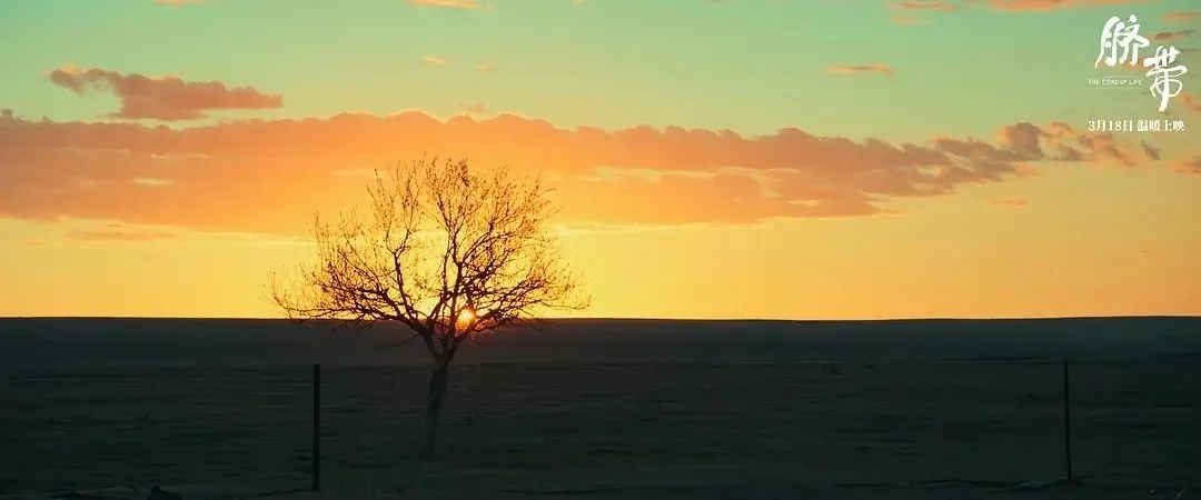 3月,终于等来这样一部“良心”国产片,电影的结尾,太惊艳了