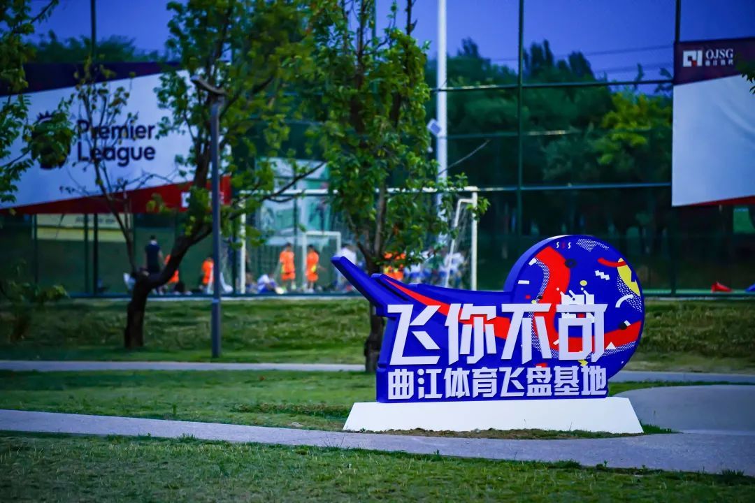 足球场内飞盘场外踢足球,足球场内飞盘与狗