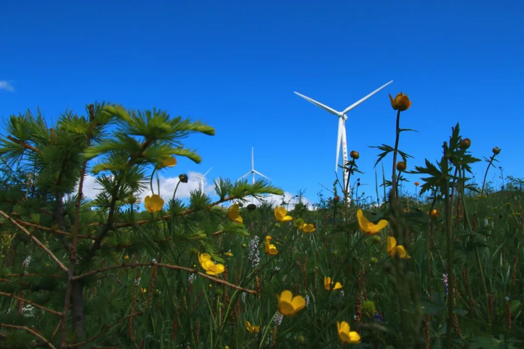 鎵у瓙涔嬫墜鍏辫荡灞辨渤涓囬噷,鎵у瓙涔嬫墜鍚屾父灞辨渤
