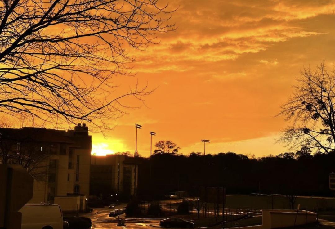 美国top30本科留学专业,美国转学录取率最高的大学