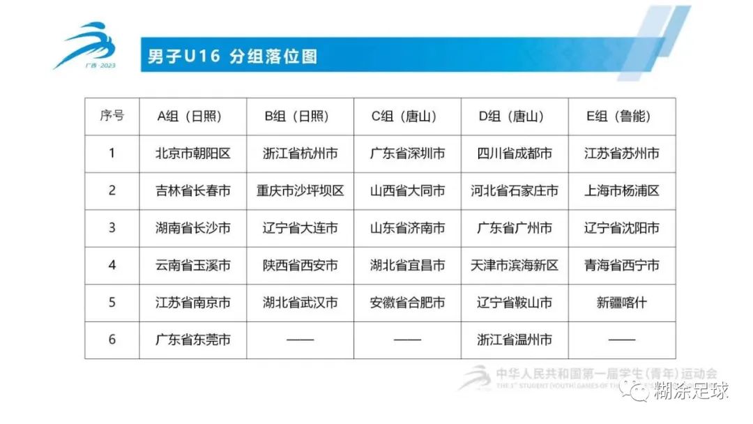 u16全国青少年足球联赛安徽赛区,合肥市u12青少年足球联赛