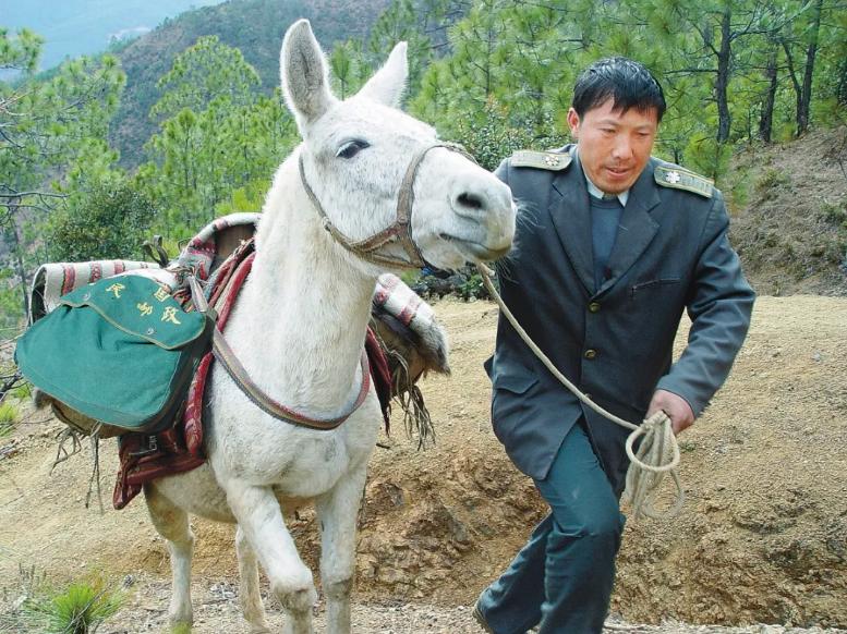 对赚钱毫不在意却年入6000亿，中国最佛系快递凭啥吊打美国邮政？