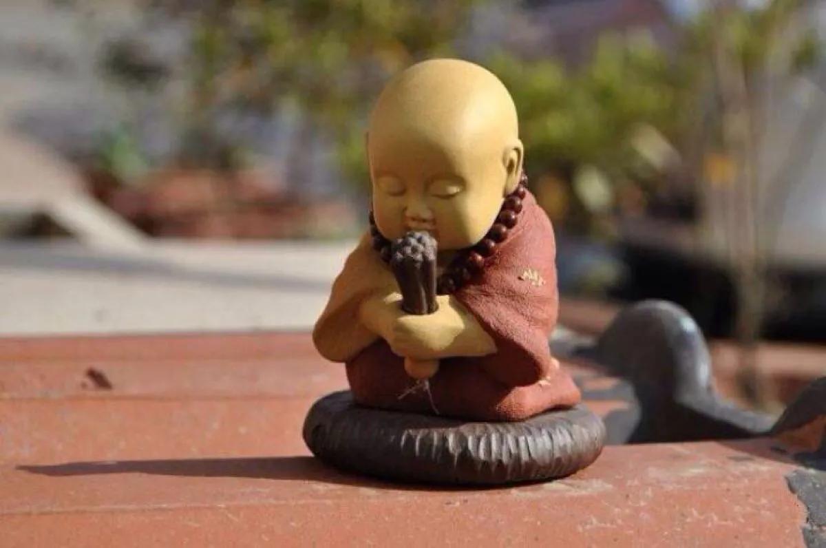 特蕾莎修女对整个世界的慈悲,特蕾莎修女的感人事迹