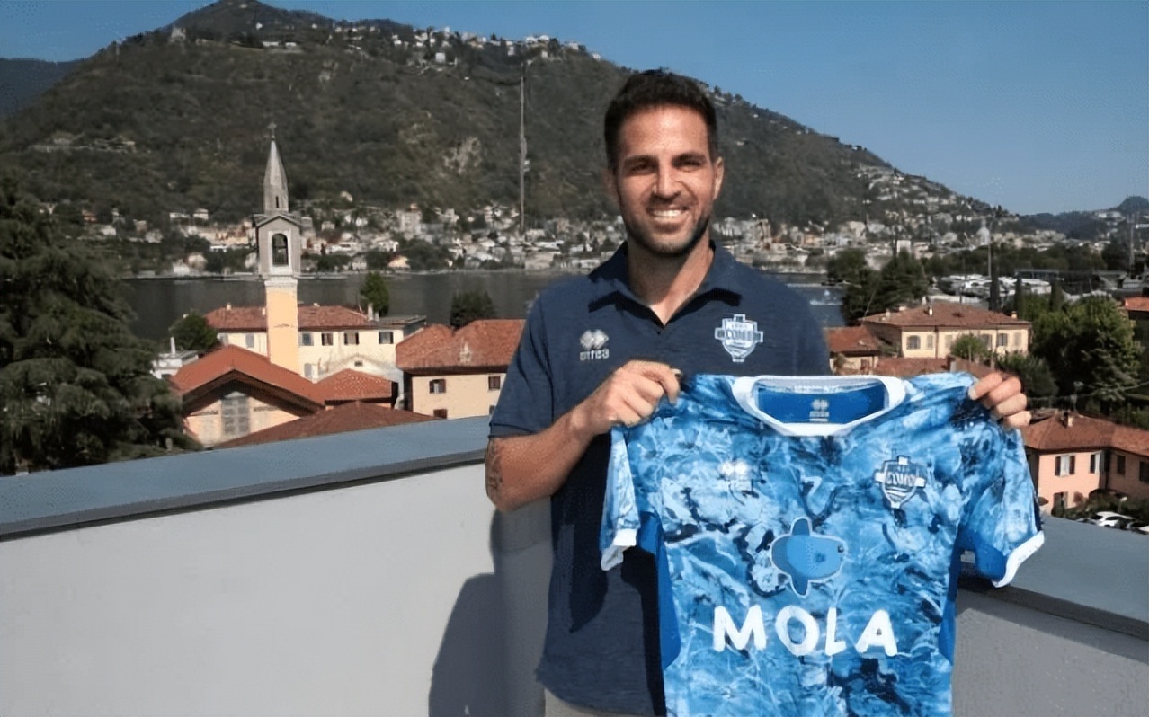 隐入尘烟镜头梵高,隐入尘烟巴比松画派