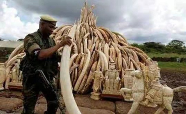 中国女商人在非洲被判15年监禁,行为引发众怒,耿爽:绝不袒护