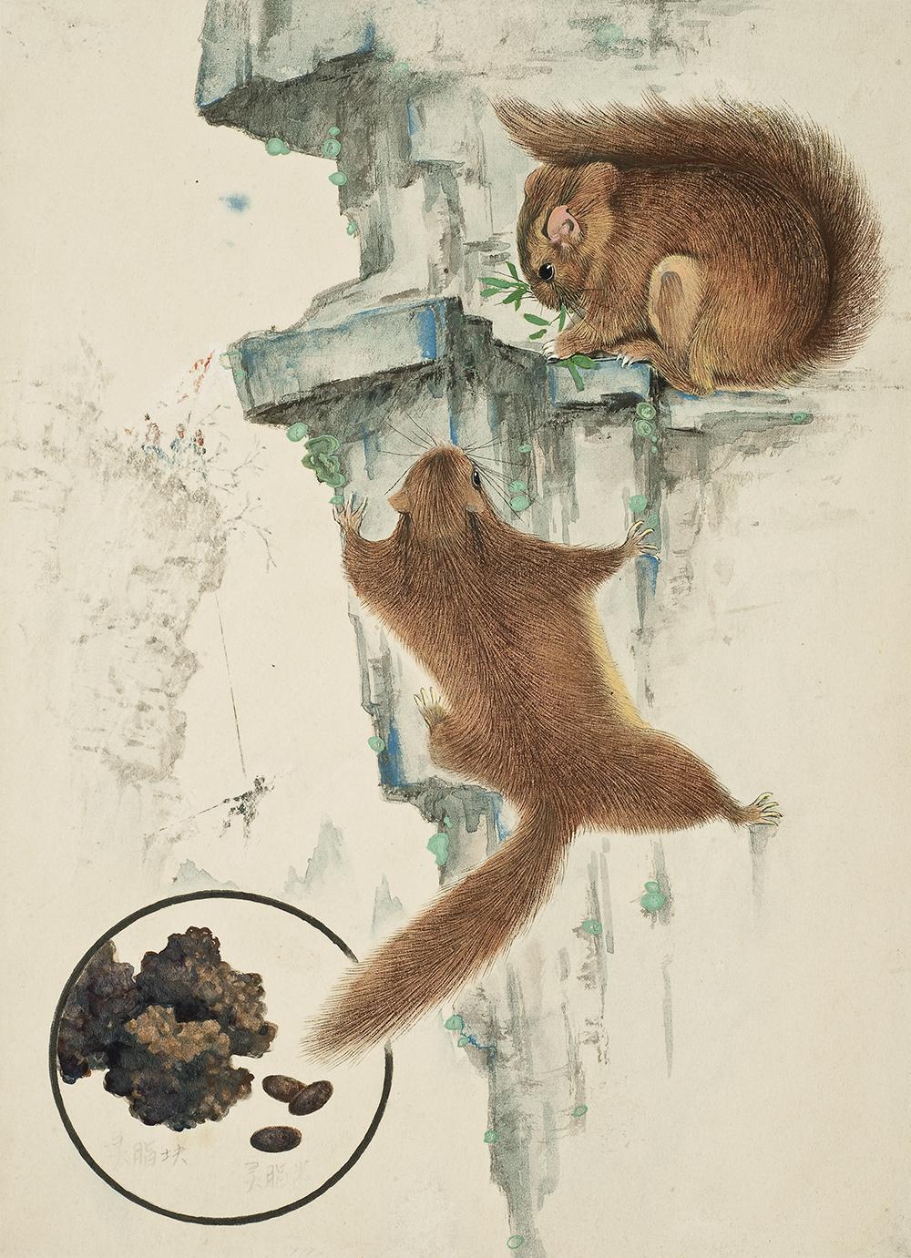 太原市迎泽区：区科技局联合区委宣传部、区科协和迎泽街道共同举办中草药图谱线上展览（动物篇）