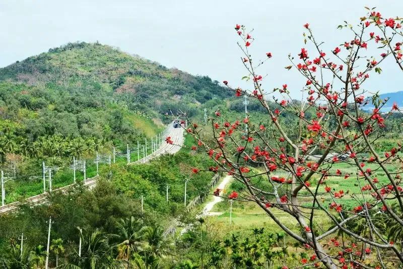 陵水的这些小众景点你会选哪个呢,海南旅游小众城市陵水哪里