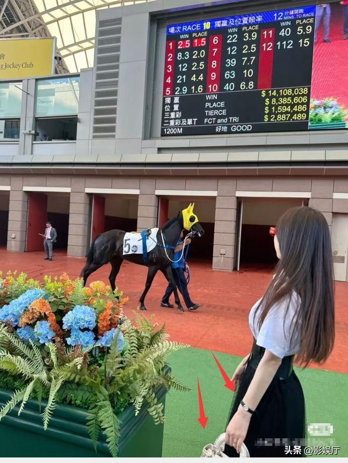 郭富城赛马花多少钱,郭富城赛马赢一亿新闻
