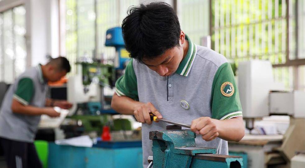 细数职校发财之道:为招生打擦边球,职业学院赠学生每人一台苹果14