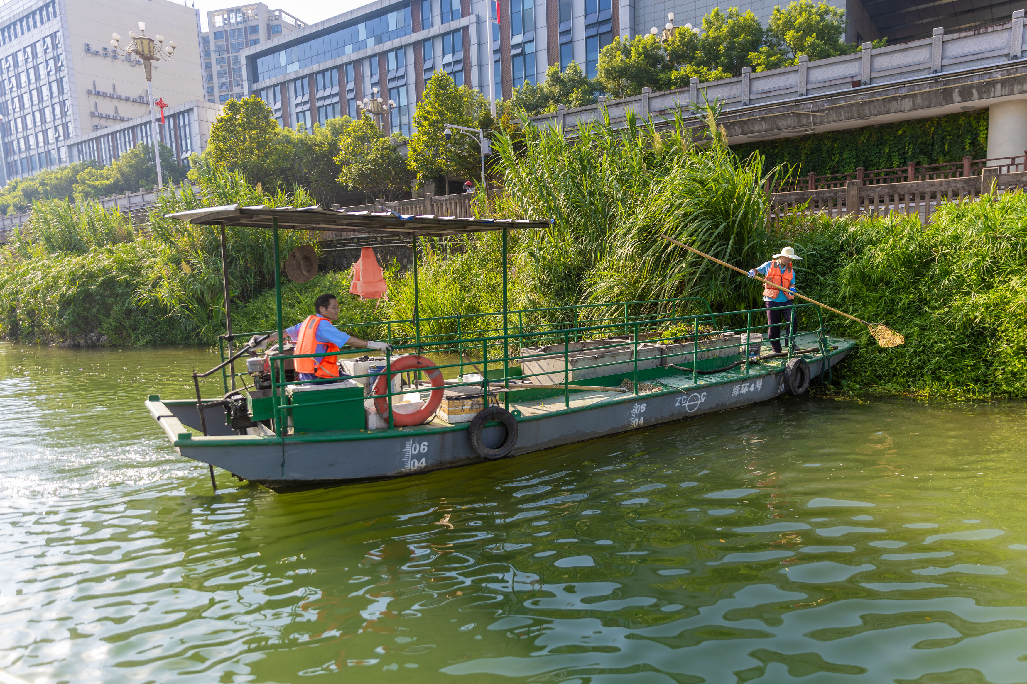 三元：烈日下的沙溪河“清道夫”汗水浸透衣衫，守护“一汪碧水”
